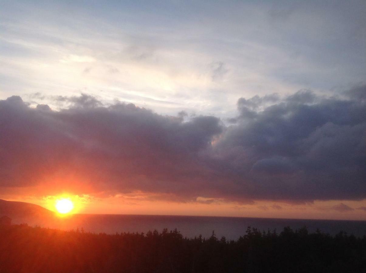 Burton's Sunset Oasis Motel Bay Saint Lawrence Exterior foto